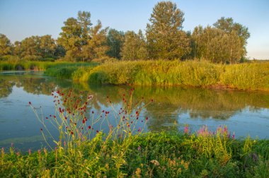 Rusya 'nın Samara bölgesinde küçük bir nehirde güzel bir gün batımıyla karşılaşmak