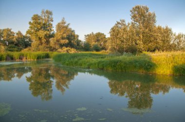 Rusya 'nın Samara bölgesinde küçük bir nehirde güzel bir gün batımıyla karşılaşmak