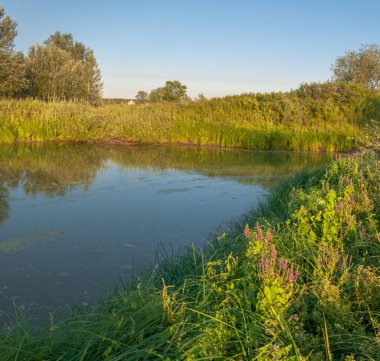 Rusya 'nın Samara bölgesinde küçük bir nehirde güzel bir gün batımıyla karşılaşmak