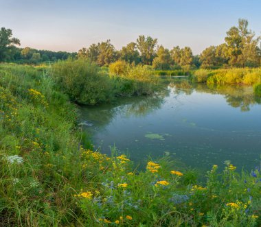 Rusya 'nın Samara bölgesinde küçük bir nehirde güzel bir gün batımıyla karşılaşmak