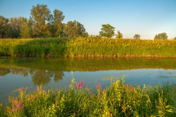 Rusya 'nın Samara bölgesinde küçük bir nehirde güzel bir gün batımıyla karşılaşmak