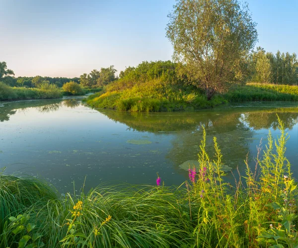 Rusya 'nın Samara bölgesinde küçük bir nehirde güzel bir gün batımıyla karşılaşmak