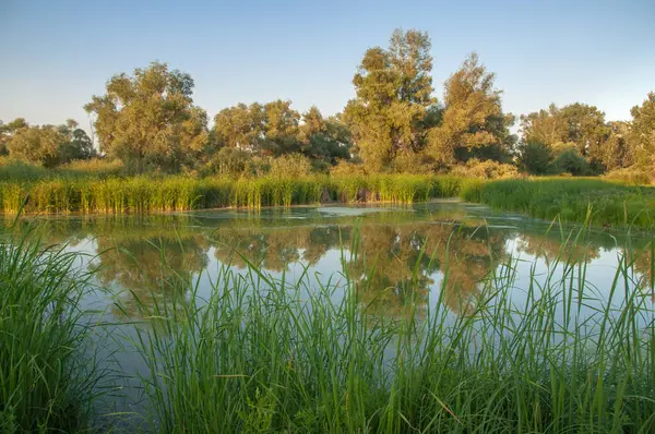 Rusya 'nın Samara bölgesinde küçük bir nehirde güzel bir gün batımıyla karşılaşmak