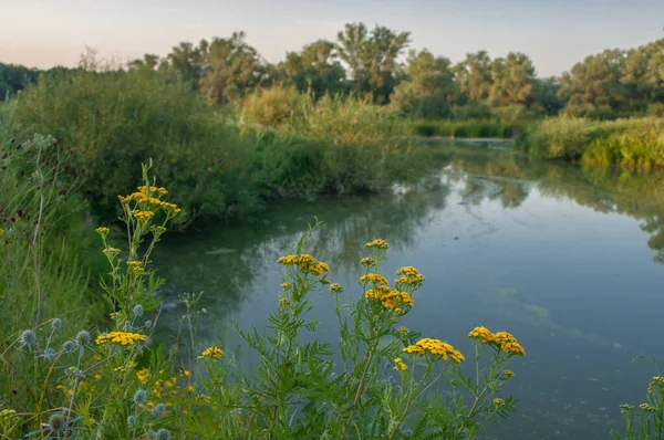 Rusya 'nın Samara bölgesinde küçük bir nehirde güzel bir gün batımıyla karşılaşmak