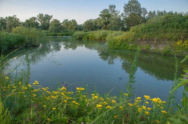Rusya 'nın Samara bölgesinde küçük bir nehirde güzel bir gün batımıyla karşılaşmak