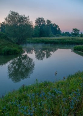 Rusya 'nın Samara bölgesinde, Chapaevsk kasabası yakınlarında küçük bir gölde güzel bir yaz gündoğumu.