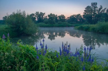 Rusya 'nın Samara bölgesinde, Chapaevsk kasabası yakınlarında küçük bir gölde güzel bir yaz gündoğumu.