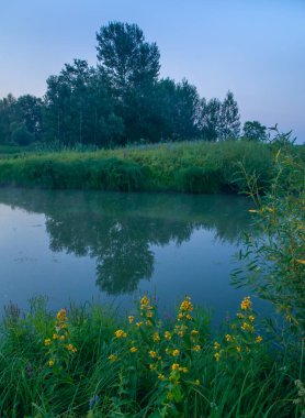 Rusya 'nın Samara bölgesinde, Chapaevsk kasabası yakınlarında küçük bir gölde güzel bir yaz gündoğumu.