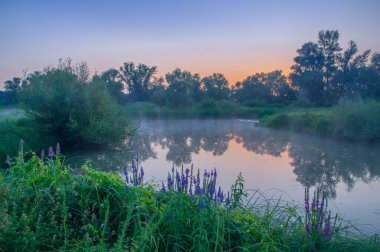 Rusya 'nın Samara bölgesinde, Chapaevsk kasabası yakınlarında küçük bir gölde güzel bir yaz gündoğumu.