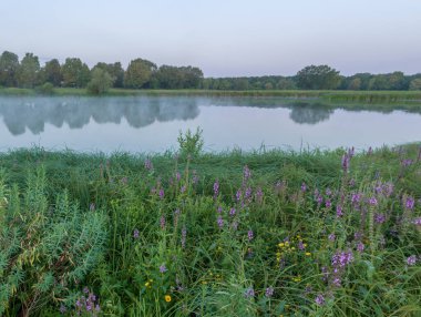 Rusya 'nın Samara bölgesinde, Chapaevsk kasabası yakınlarında küçük bir gölde güzel bir yaz gündoğumu.