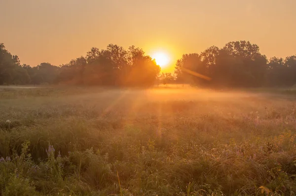 Hermoso Amanecer Verano Pequeño Lago Región Samara Rusia Cerca Ciudad Fotos de stock