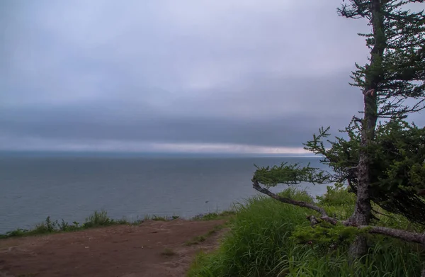 Costa Bella Ventosa Mare Okhotsk Regione Magadan Russia Estremo Oriente — Foto Stock