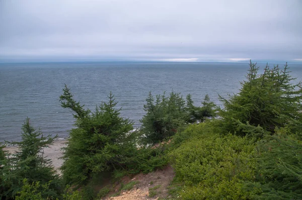 Les Rochers Sur Côte Venteuse Mer Okhotsk Région Magadan Russie — Photo