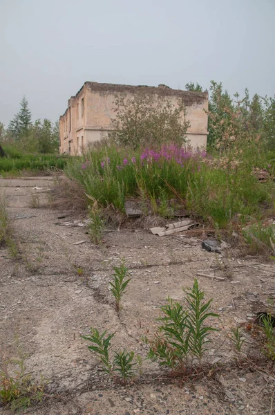 Opuszczone Sowieckie Miasto Niedaleko Seimchan Rosja Syberia Obwód Magadański — Zdjęcie stockowe