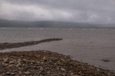 Magadan, Rusya 'nın Uzak Doğusu. Okhotsk Denizi kıyısında, Nagaev Körfezi. Dalgalar çekildiğinde denizin dibinde yürümek.