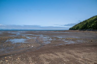Magadan bölgesi, Rusya 'nın Uzak Doğusu. Okhotsk Denizi kıyısında. Dalgalar çekildiğinde denizin dibinde yürümek.