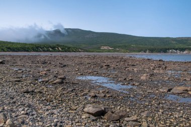 Magadan bölgesi, Rusya 'nın Uzak Doğusu. Okhotsk Denizi kıyısında. Dalgalar çekildiğinde denizin dibinde yürümek.