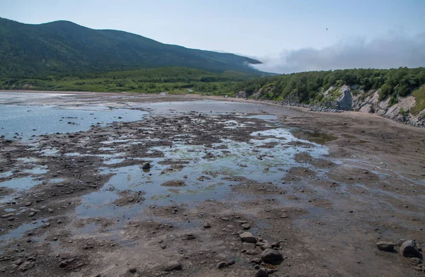 Magadan bölgesi, Rusya 'nın Uzak Doğusu. Okhotsk Denizi kıyısında alçak sularda yürümek. O zamanlar Kara Dul denen ada bir ada değildi ve denizin dibinden yürüyerek ulaşılabiliyordu.