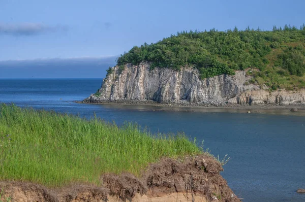 Magadan Bölgesi Rusya Nın Uzak Doğusu Okhotsk Denizi Kıyısında Alçak — Stok fotoğraf