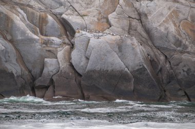 Magadan bölgesi, Rusya 'nın Uzak Doğusu. Sürat teknesi gezisi sırasında Okhotsk Denizi 'ndeki adalar ve kayalar.