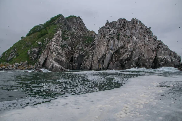 Zahlreiche Vögel Auf Inseln Und Felsen Ochotskischen Meer Magadan Region — Stockfoto