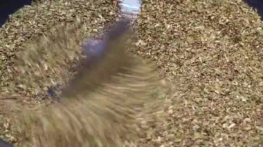 Demir bir tavada kurutulmuş çay yaprakları kızartan bir adam.