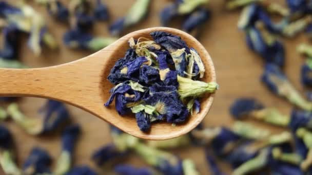 Holzlöffel Mit Getrockneten Butterfly Pea Blume Blue Tea Leaves Wood — Stockvideo