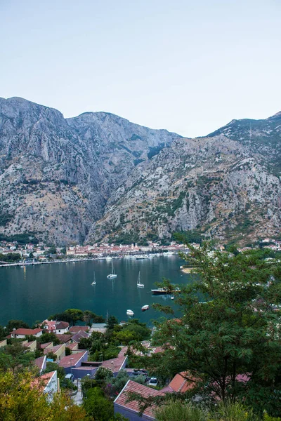 Boka Kotorska Bay Montenegro July 2017 View Boats Boka Bay — 스톡 사진