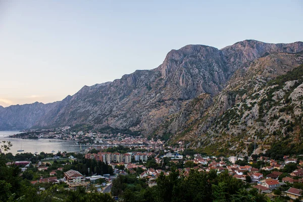 Kotor Montenegro Julio 2017 Vista Bahía Kotor Día Verano —  Fotos de Stock