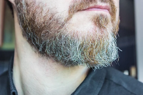 Close up imagem de homens seniores barba com cabelos grisalhos no queixo — Fotografia de Stock