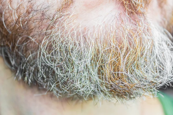 Крупный план бороды старших мужчин с седыми волосами на подбородке — стоковое фото