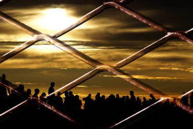 Migration and fence on the border