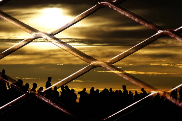 Migration Fence Border — Stok fotoğraf