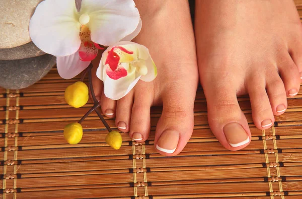 Güzel kadın bacakları ile çiçek Bakımı .