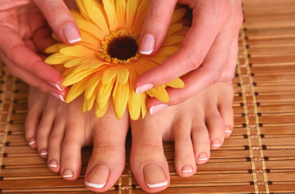 Pflege Für Schöne Frauenbeine Mit Blume — Stockfoto