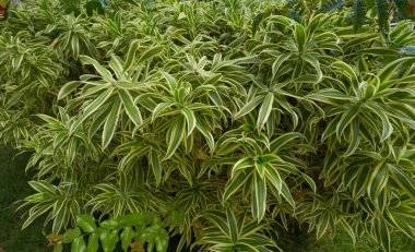 Uçaktan gün batımının görüntüsü