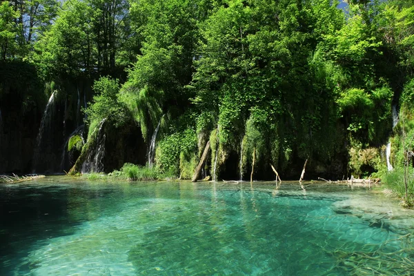 Таинственный голубой рай на Плитвицких озерах — стоковое фото