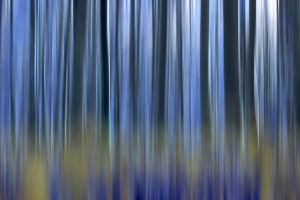 Blauer Wald — Stockfoto