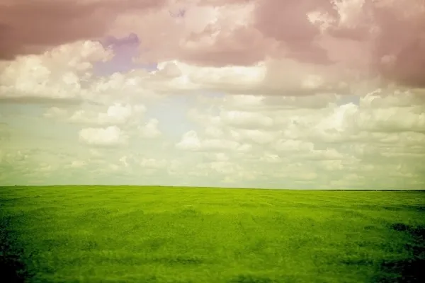 Grünes Feld rosa Wolken — Stockfoto