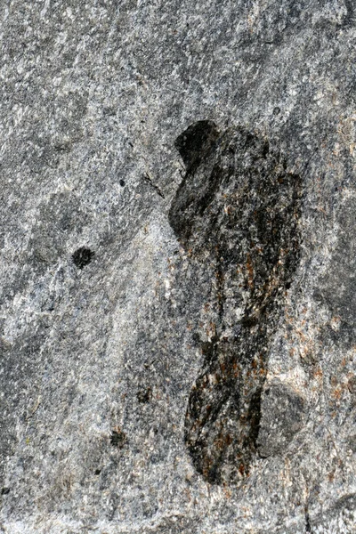 Pegada humana em pedra — Fotografia de Stock