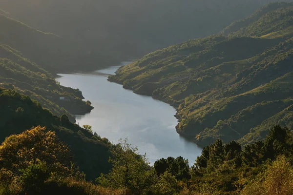 Sil Říční Kaňon Krajina Ribeira Sacra Galicie Španělsko — Stock fotografie