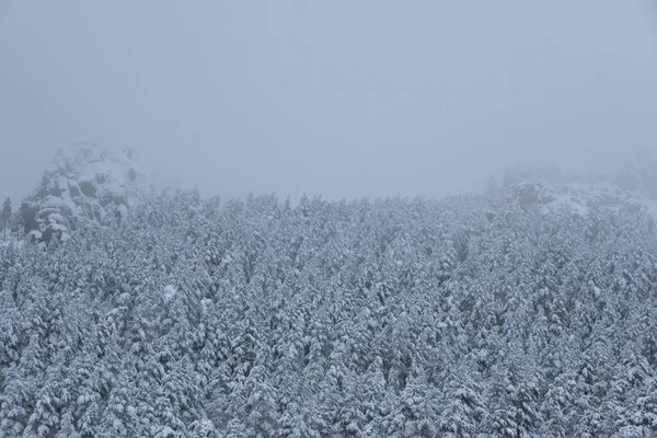 Verschneite Berglandschaft Mit Nebel — Stockfoto