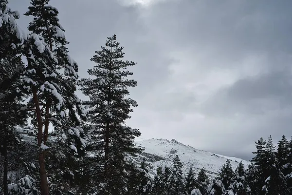 Winterlandschaft Den Bergen Nach Schneefall — Stockfoto