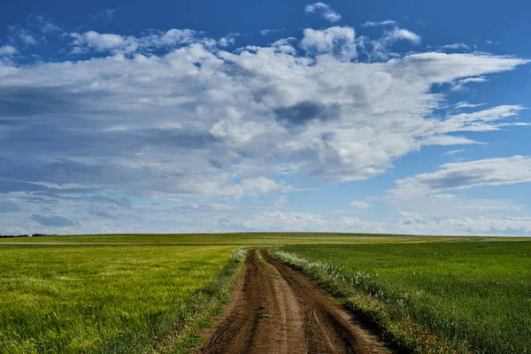 Yeşil Kırsalda Toprak Yol — Stok fotoğraf