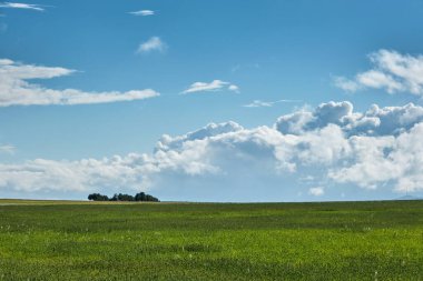Yeşil ilkbahar tarlaları ve bulutlu mavi gökyüzü, minimalist manzara 