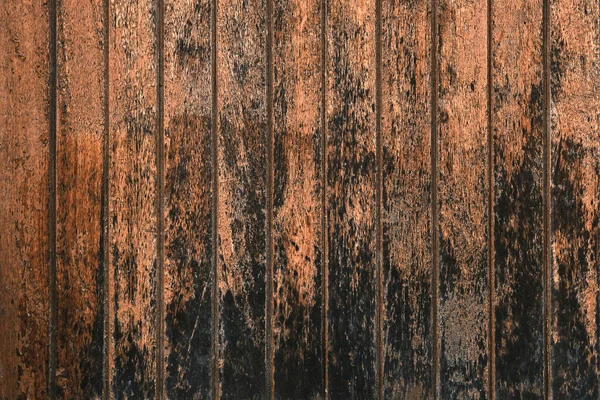 Old Distressed Wooden Planks Wall Damp Mould — Stock Photo, Image