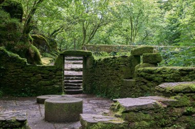 Fragas do Eume doğal parkındaki antik su değirmeni yosun kalıntıları, Galiçya, İspanya 