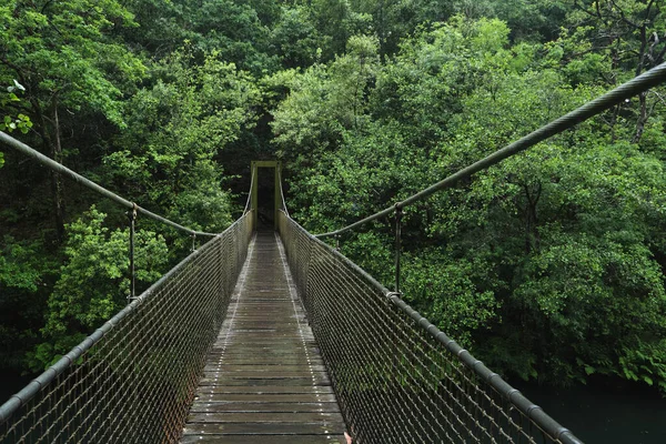 Pont Suspendu Dessus Rivière Dans Une Forêt Ancienne Verdoyante Parc — Photo