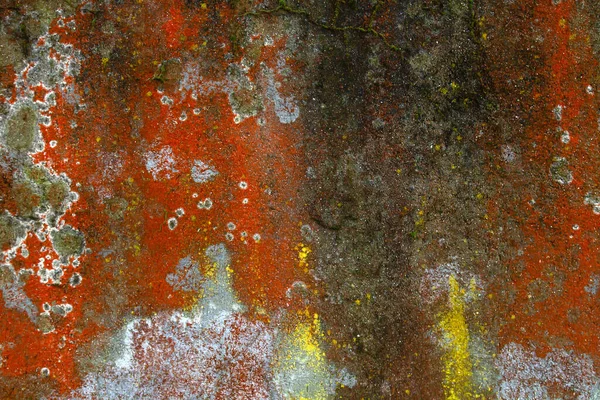 Stara Czerwona Ściana Wilgotnym Grunge Teksturowanym Tle — Zdjęcie stockowe