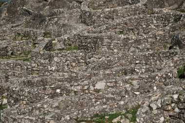 Castro de Santa Trega 'daki antik taş konutların kalıntıları arkeolojik alan, Galiçya, İspanya
